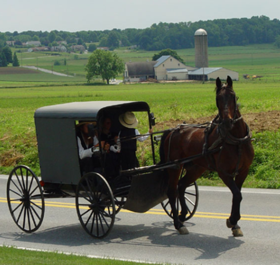 amish